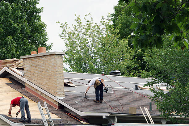 Best Roof Moss and Algae Removal  in Eagle, ID