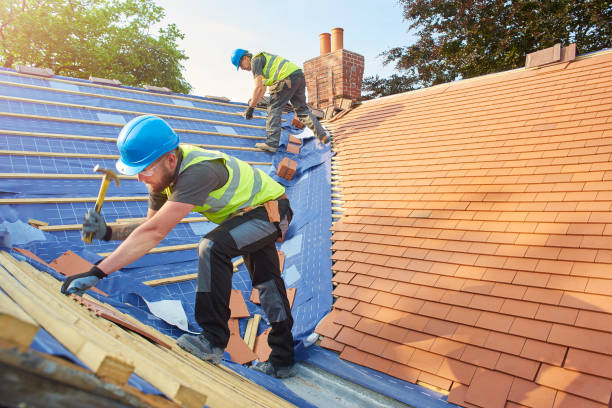 Best Skylight Installation and Repair  in Eagle, ID